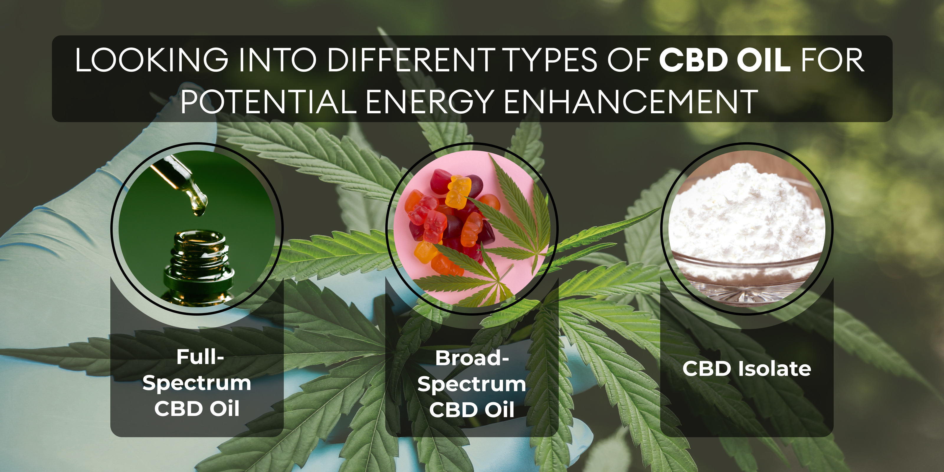 cbd oil India